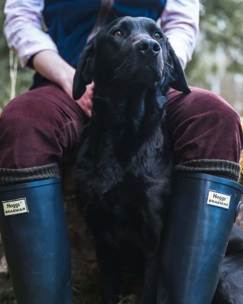 Hoggs of Fife Braemar Wellingtons