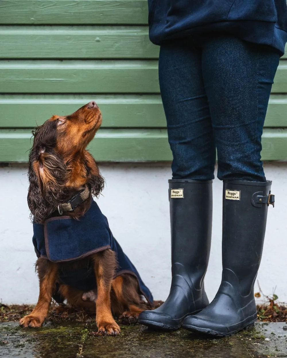 Hoggs of Fife Braemar Wellingtons